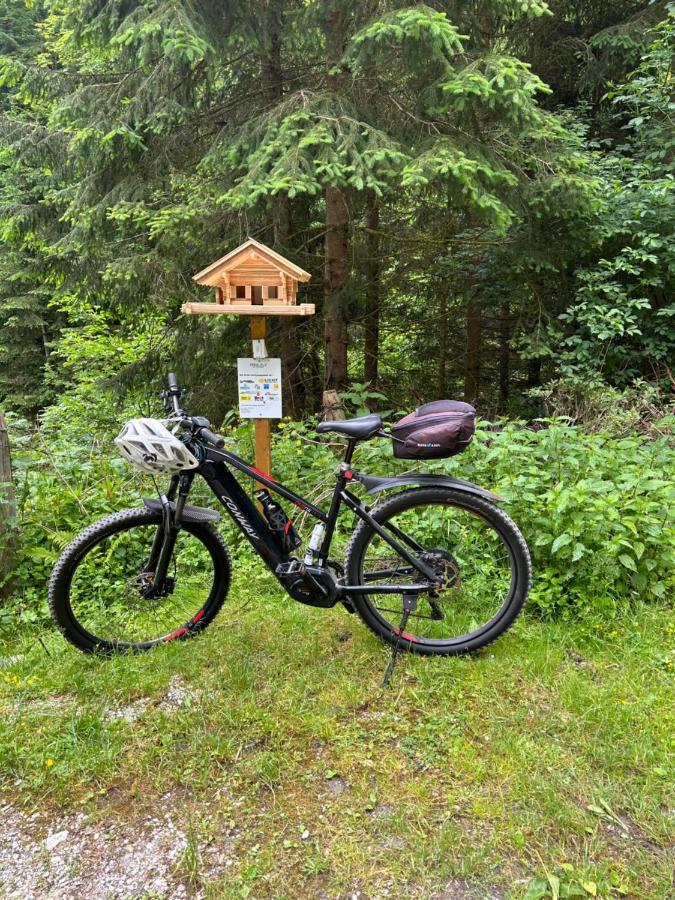Haus Laubreuter Leilighet Kaprun Eksteriør bilde