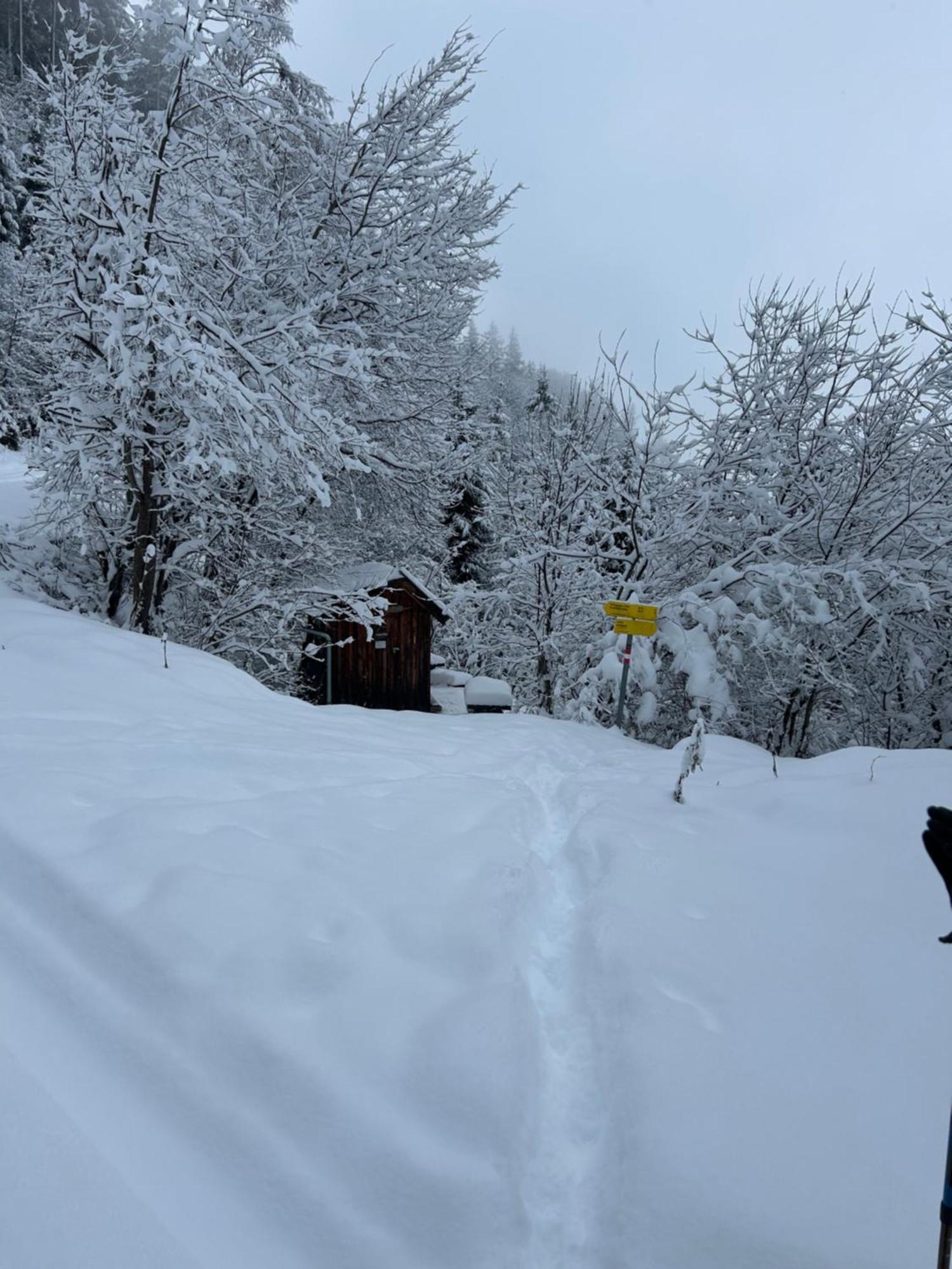 Haus Laubreuter Leilighet Kaprun Eksteriør bilde